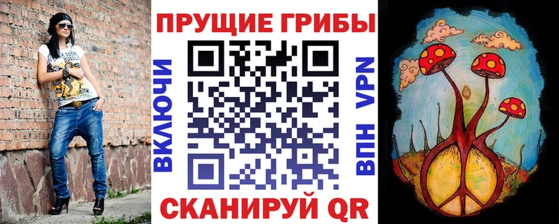 Купить  Мглин  Псилоцибиновые грибы Psilocybe 