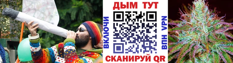 Купить где  Мглин  МАРИХУАНА THC 21% 